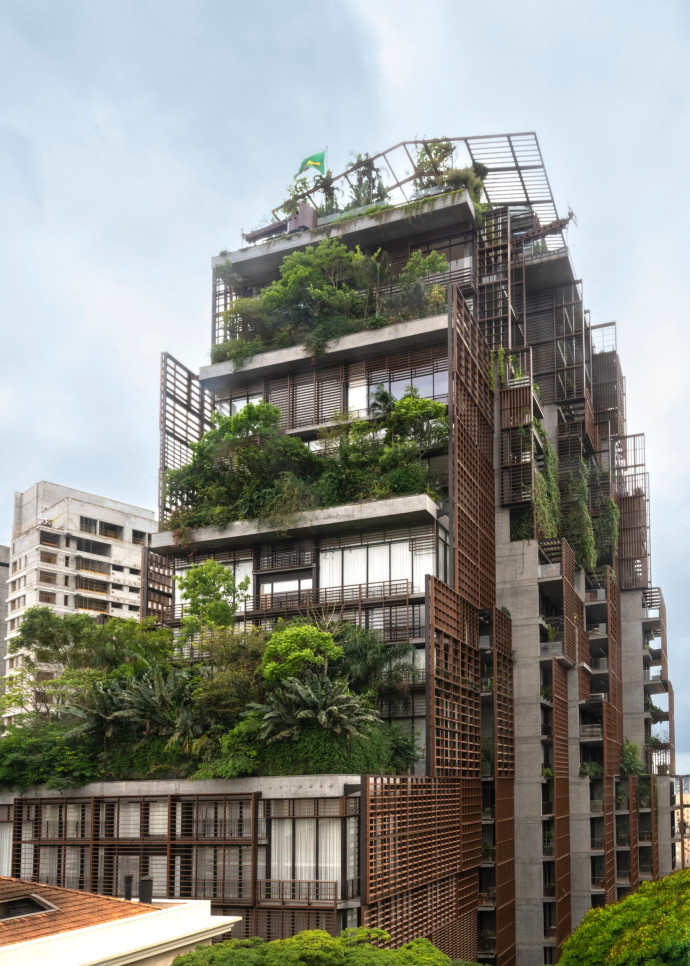 À Sao Paulo, la forêt tropicale et la jungle de béton se livrent encore bataille.