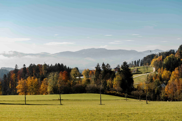 Steirereck propose des hébergements uniques dans la forêt autrichienne et une cuisine basée sur les ressources de la ferme.
