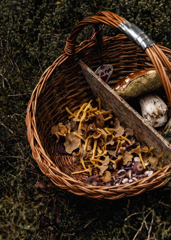 Les assiettes sont l’expression de la nature environnante, entre cueillette miraculeuse et culture de proximité.