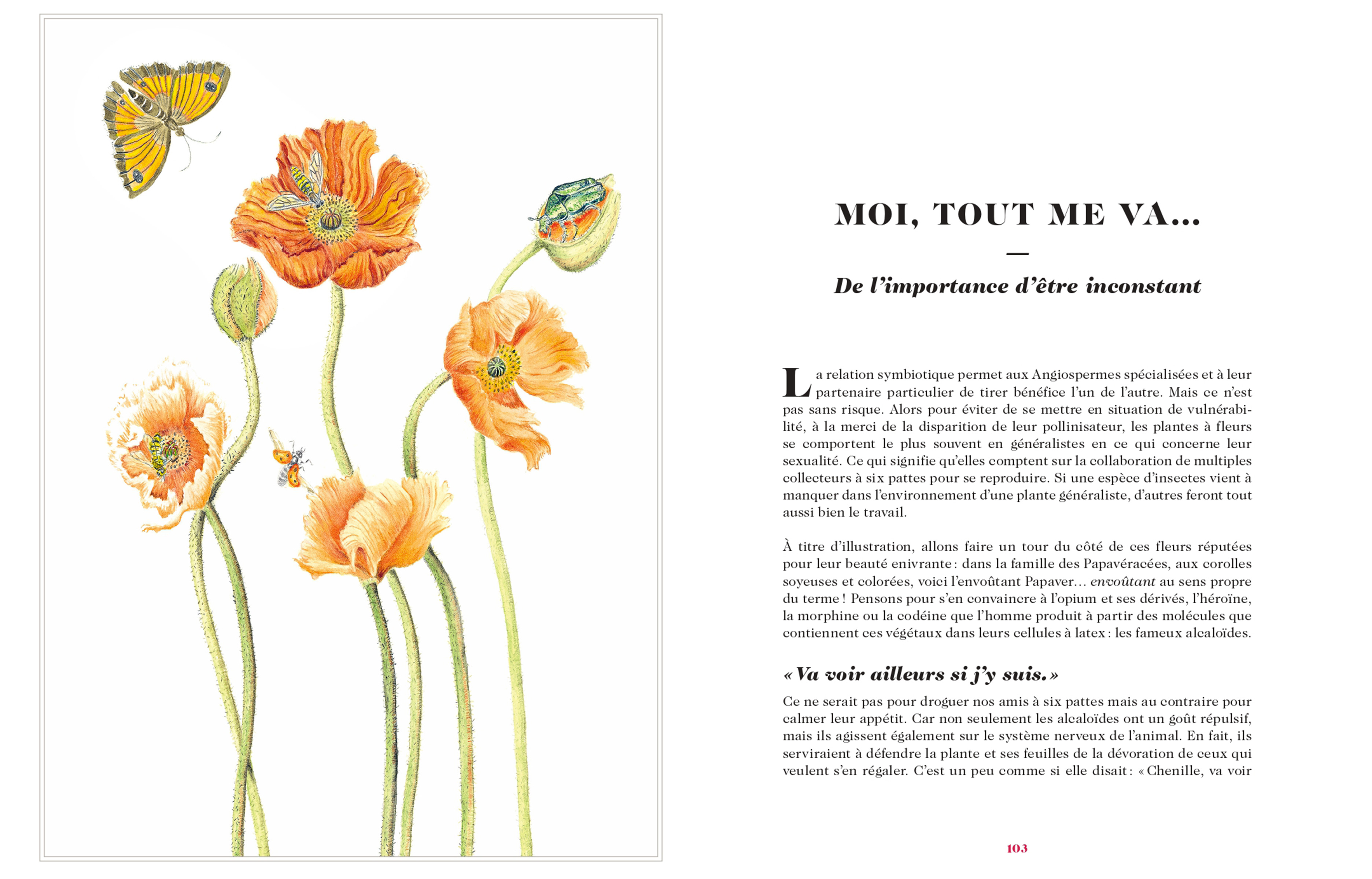 the-good-life-livres-noel