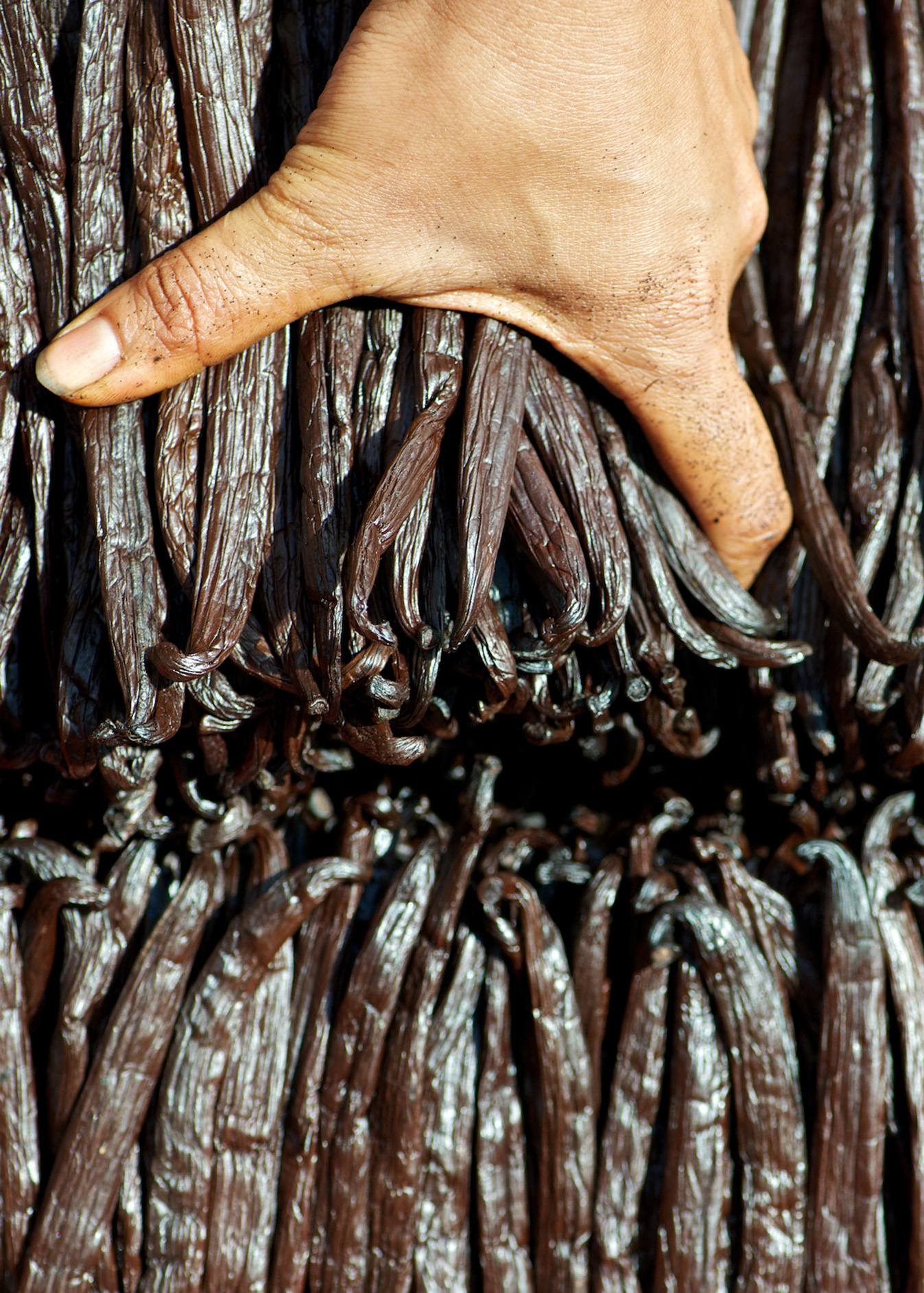 the-good-life-moichef-6