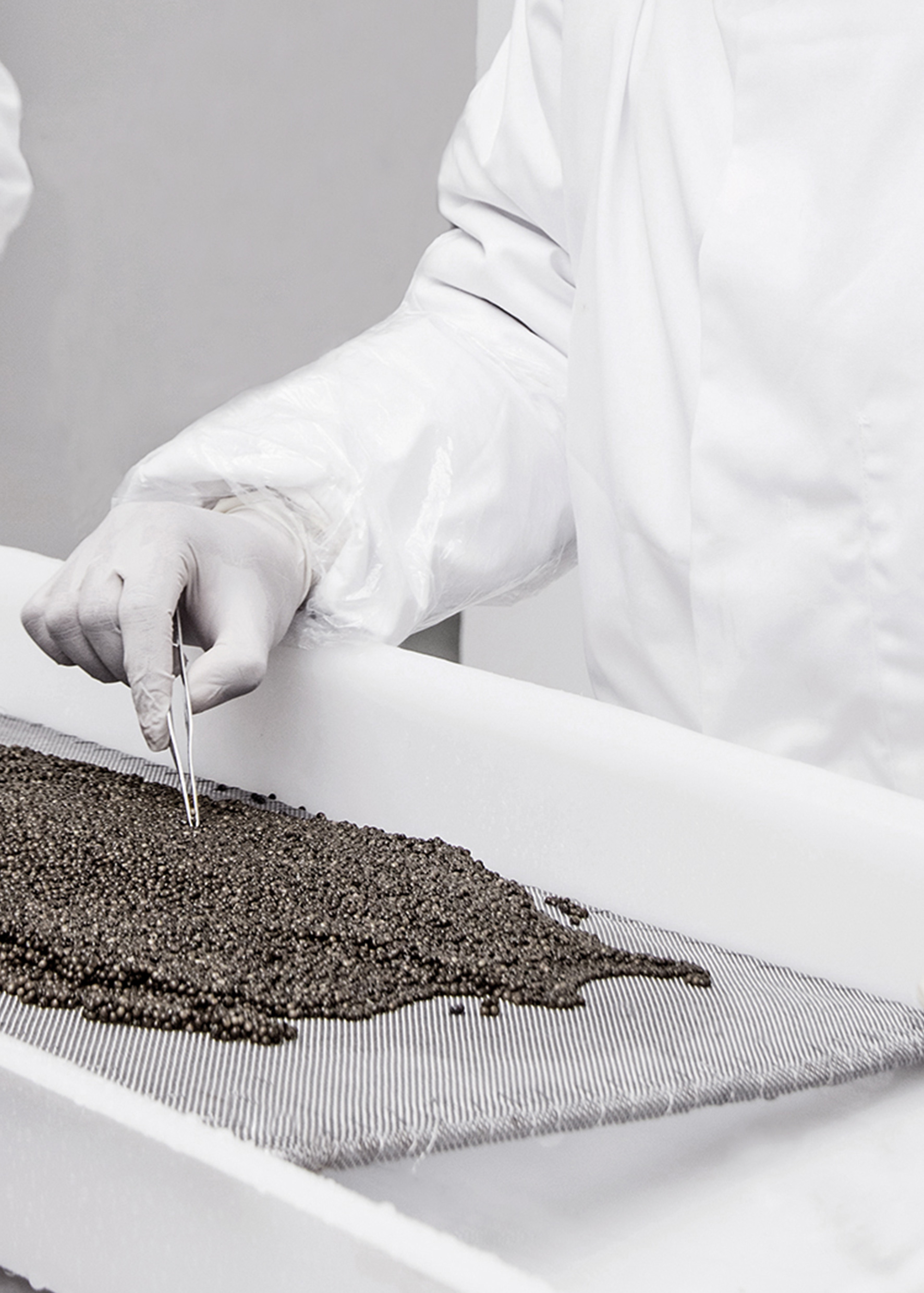 the-good-life-rova-caviar-5