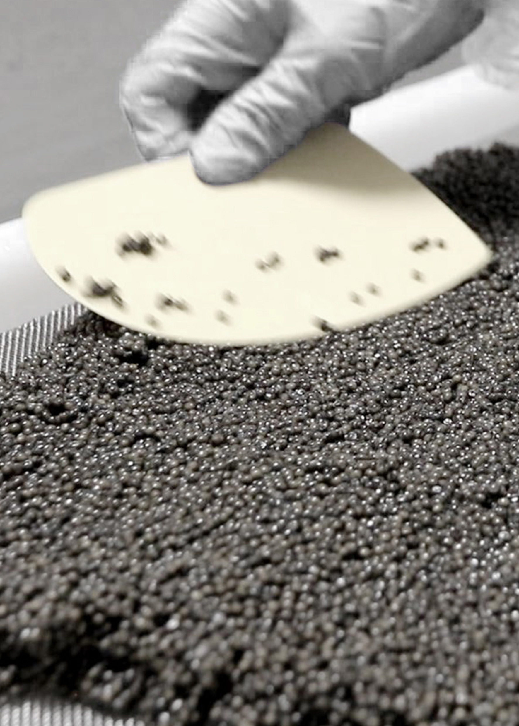 the-good-life-rova-caviar-7