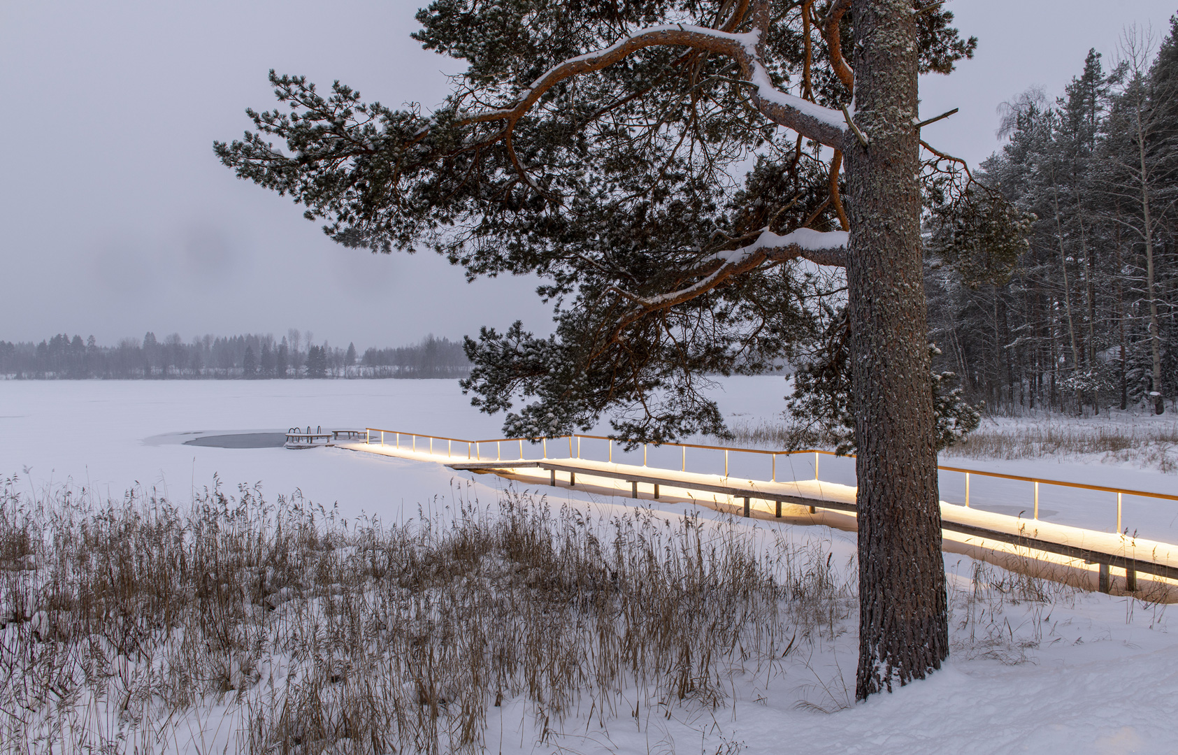 bonnes-adresses-tampere-the-good-life